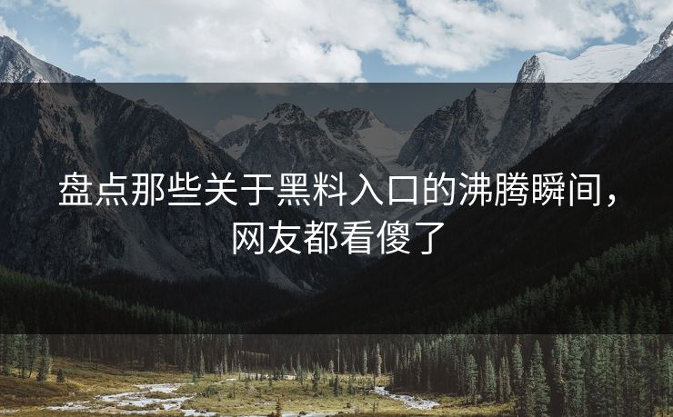盘点那些关于黑料入口的沸腾瞬间，网友都看傻了