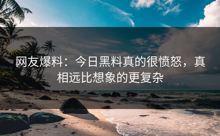 网友爆料：今日黑料真的很愤怒，真相远比想象的更复杂
