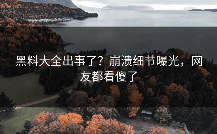 黑料大全出事了？崩溃细节曝光，网友都看傻了