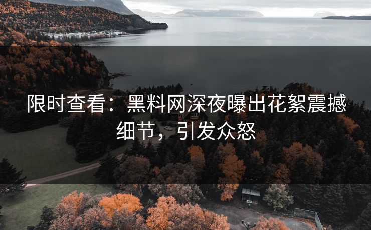 限时查看：黑料网深夜曝出花絮震撼细节，引发众怒
