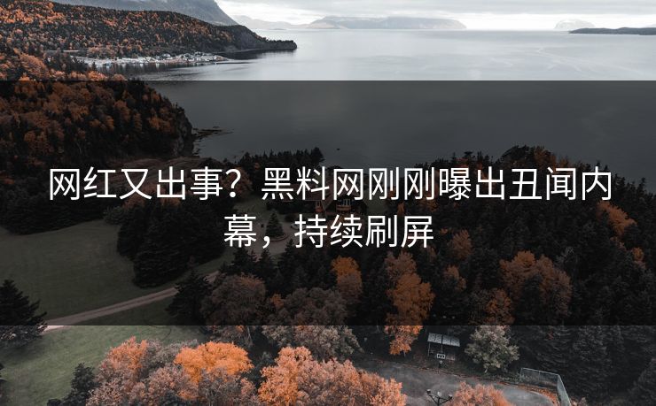 网红又出事？黑料网刚刚曝出丑闻内幕，持续刷屏