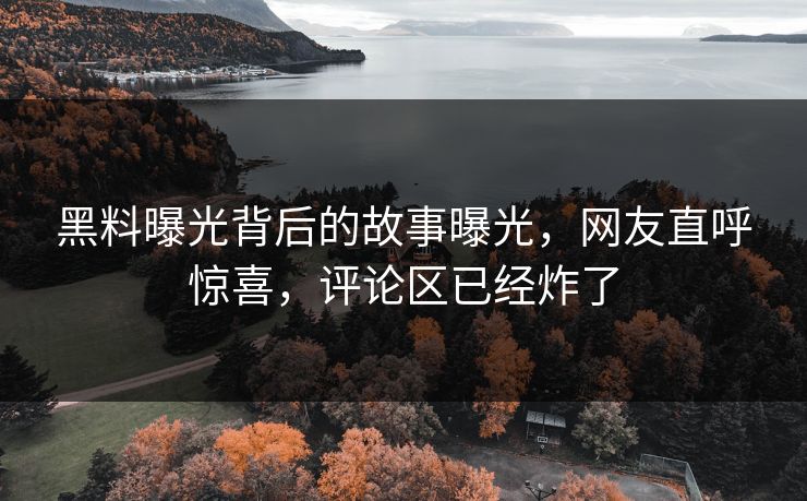 黑料曝光背后的故事曝光，网友直呼惊喜，评论区已经炸了