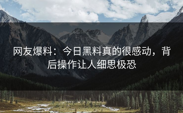 网友爆料：今日黑料真的很感动，背后操作让人细思极恐