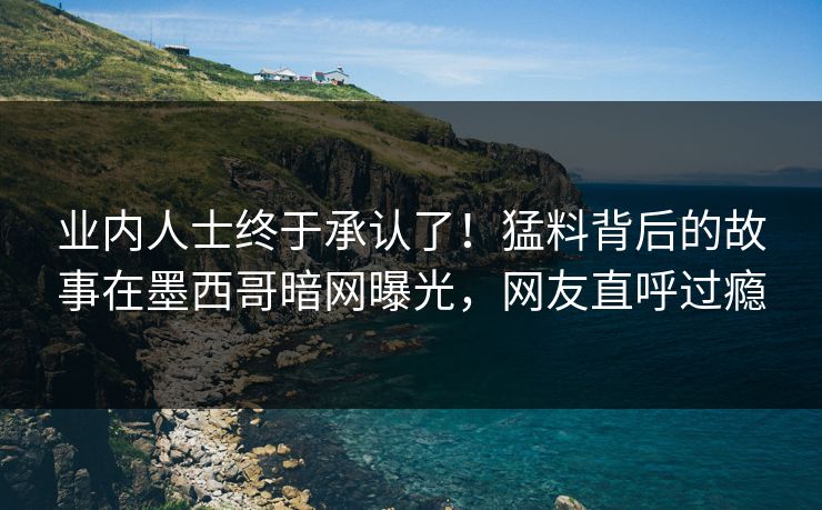 业内人士终于承认了！猛料背后的故事在墨西哥暗网曝光，网友直呼过瘾